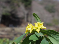 IMGP0476