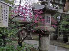IMGP0612