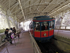 IMGP0338