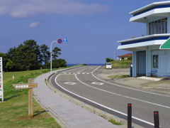 IMGP2115