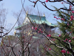IMGP0289