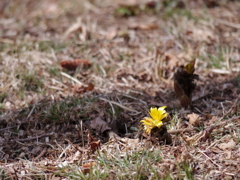 IMGP0405