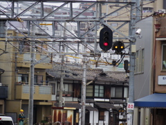 IMGP0508