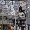 IMGP0508