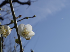 IMGP0268