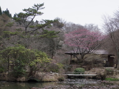 ある山の風景