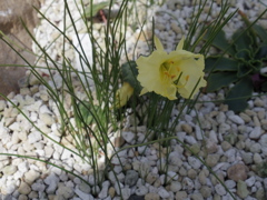 IMGP0448
