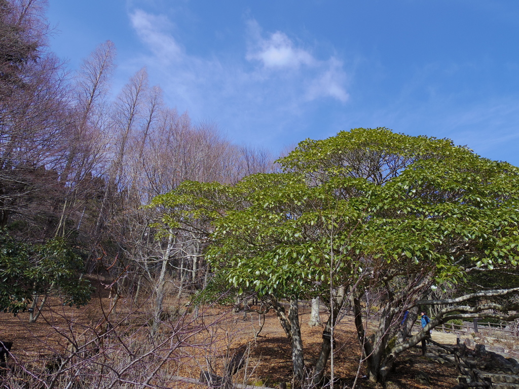 IMGP0417
