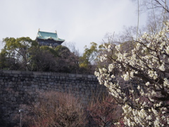 IMGP0309