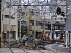 IMGP0509