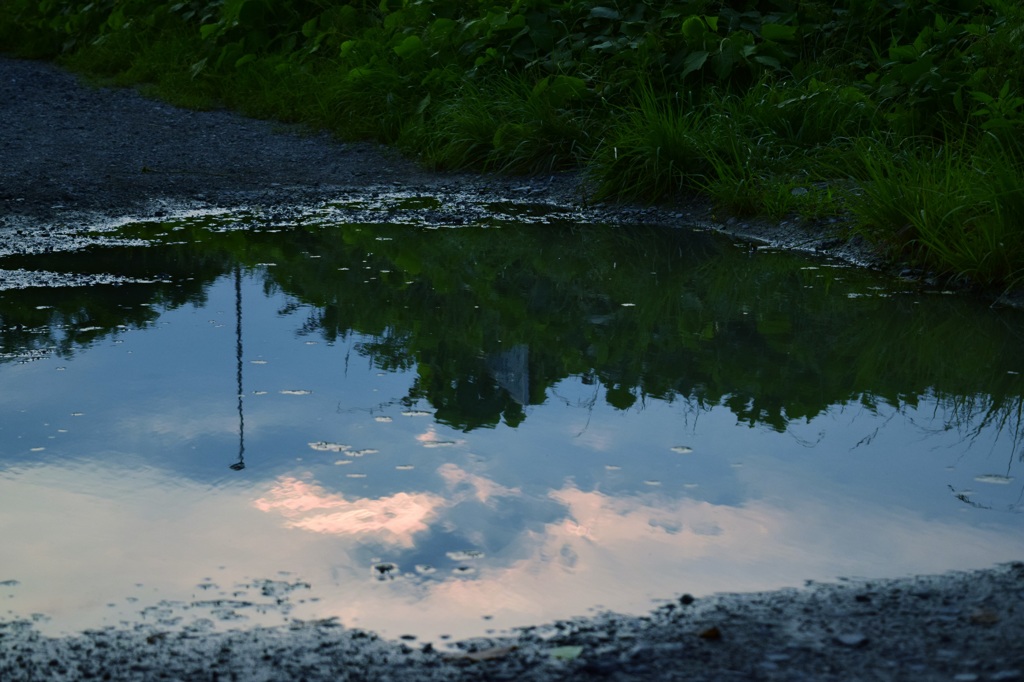 雨上がりの帰り道