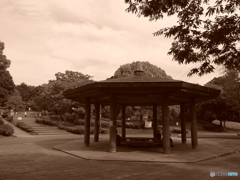 休日photo 45