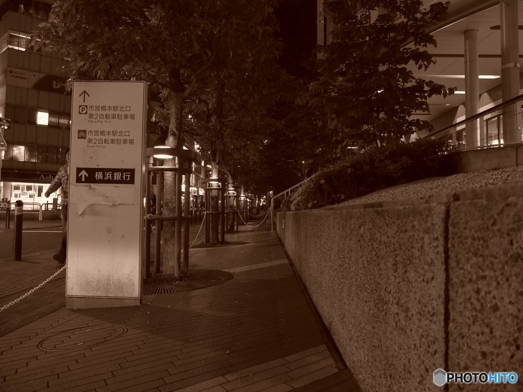HASHIMOTO SNAP #4