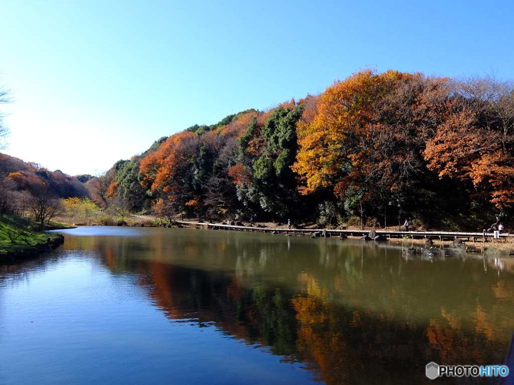 横浜四季の森公園より #1