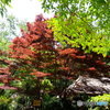 休日photo 27