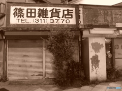 横浜old-fashioned #12