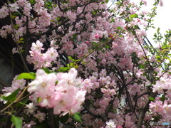 4/9 神楽坂裏路地より　＃11