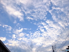 日常81。