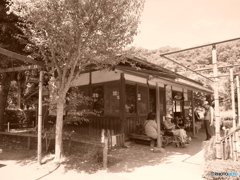 休日photo 25