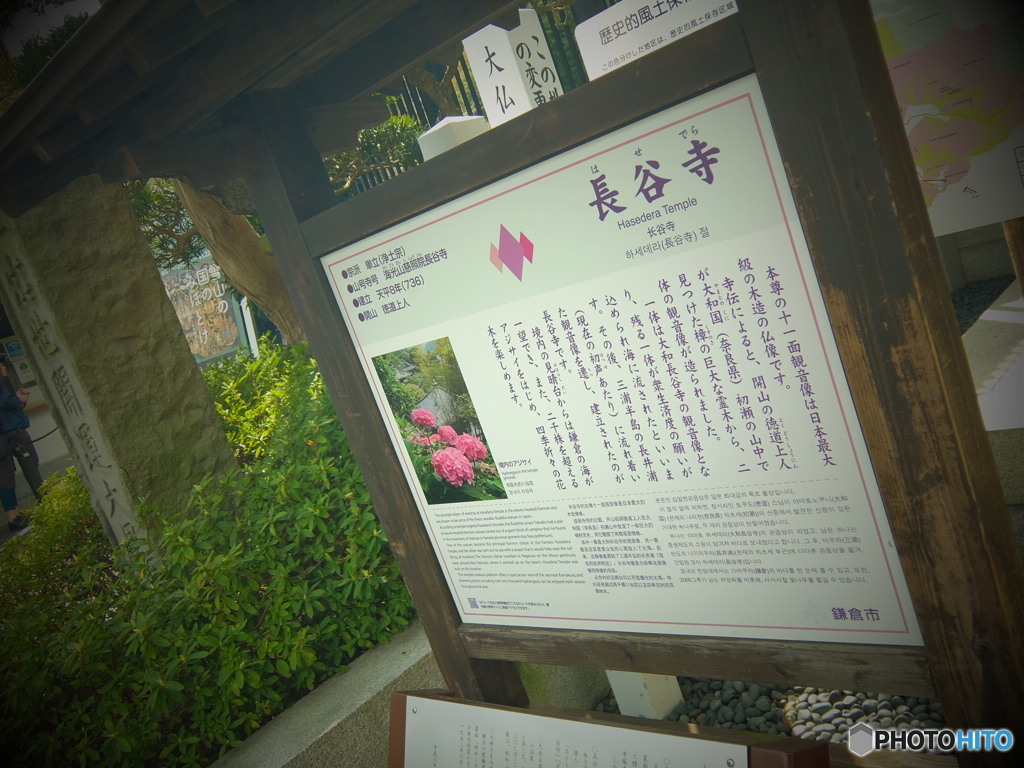 3/18鎌倉 #3