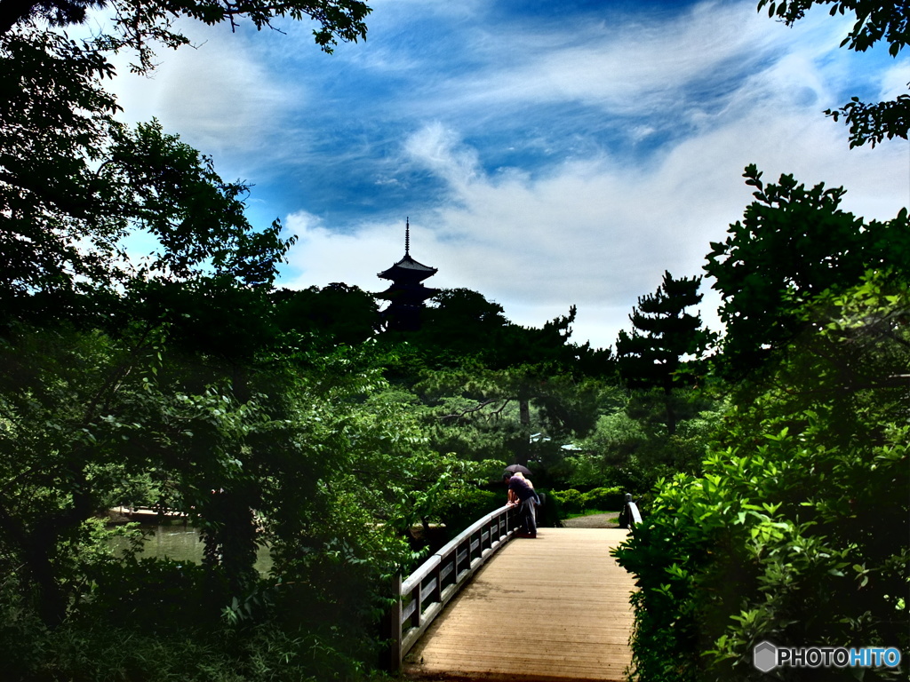 休日photo 64