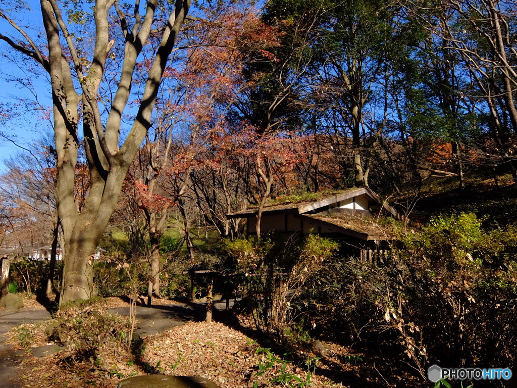 横浜四季の森公園より #3