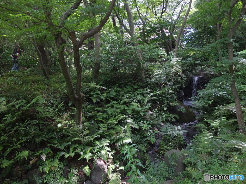 休日photo 65