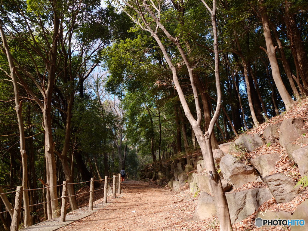 休日ＰＨＯＴＯ　3
