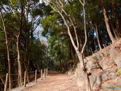 休日ＰＨＯＴＯ　3