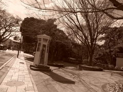 休日PHOTO　7