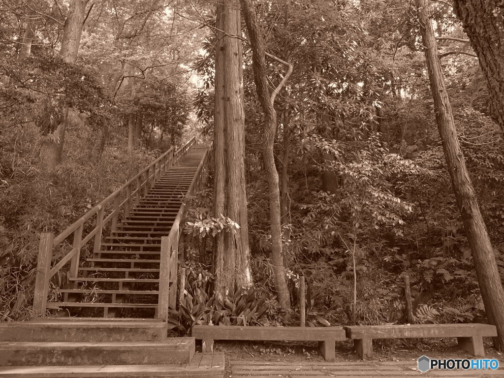 休日photo 41