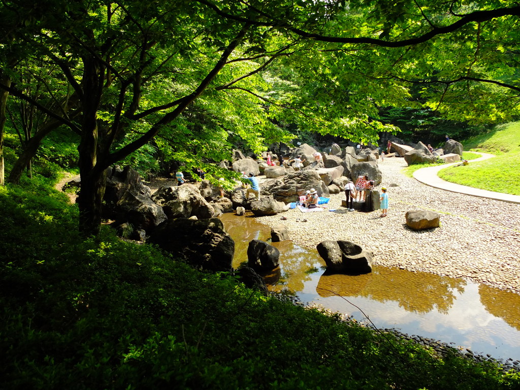 水辺のオアシス。