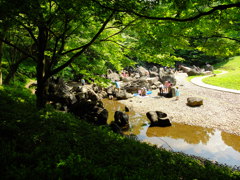 水辺のオアシス。