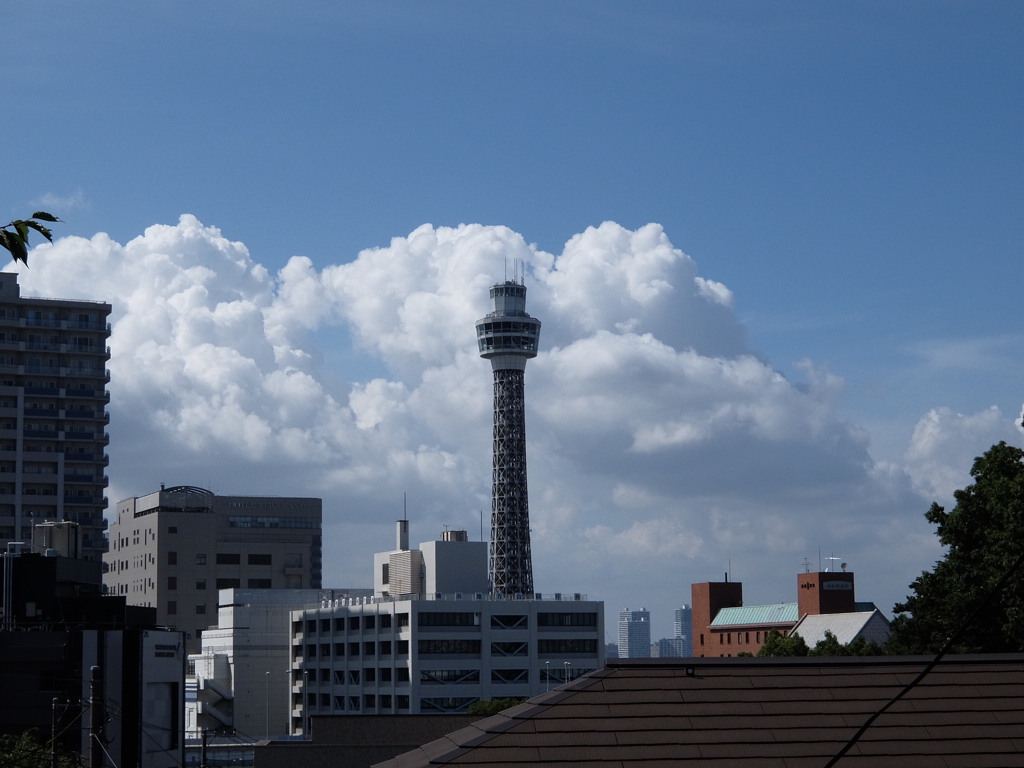 休日photo #119