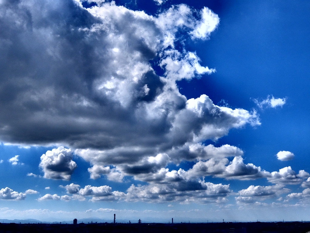 8/5 今日の青空 #2