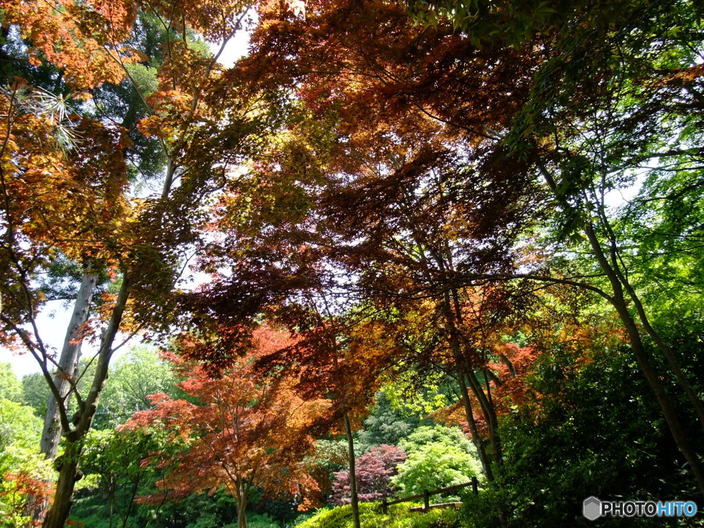休日photo 23