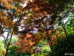 休日photo 23