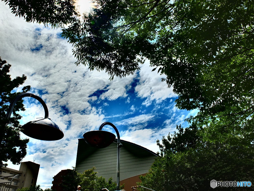 6/5 南大沢の青空 2