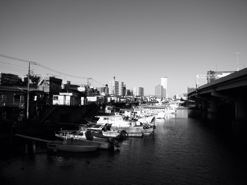 monochrome #65