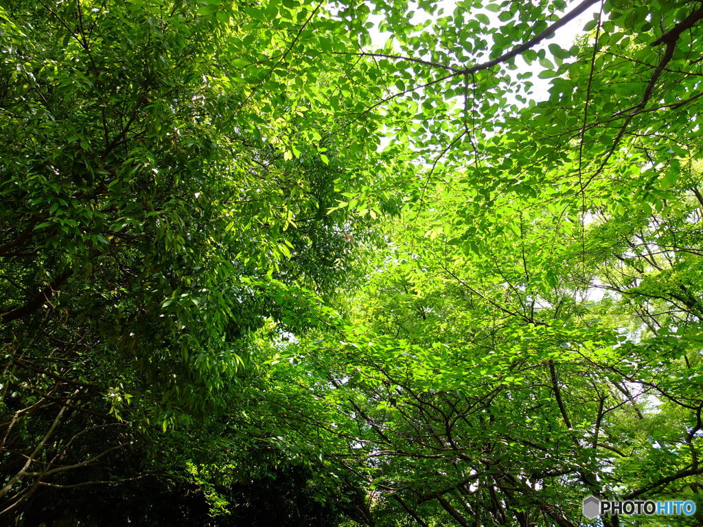 休日photo 52