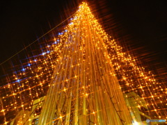 GOLD SHOWER