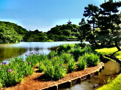 休日photo #75