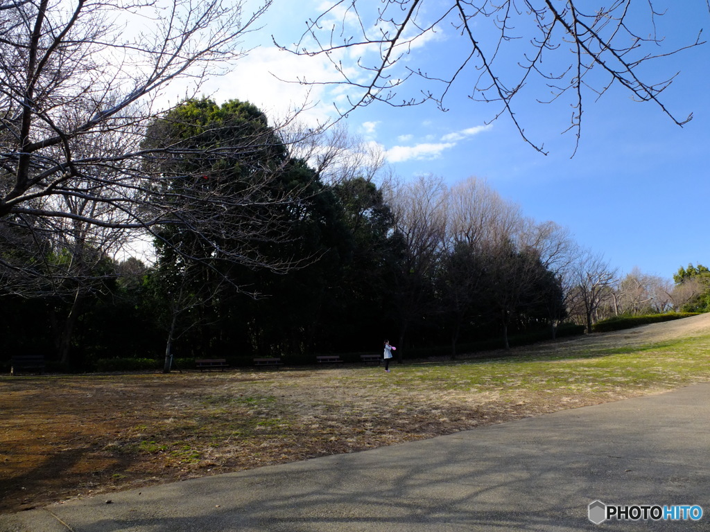 休日ＰＨＯＴＯ　2
