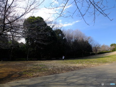 休日ＰＨＯＴＯ　2