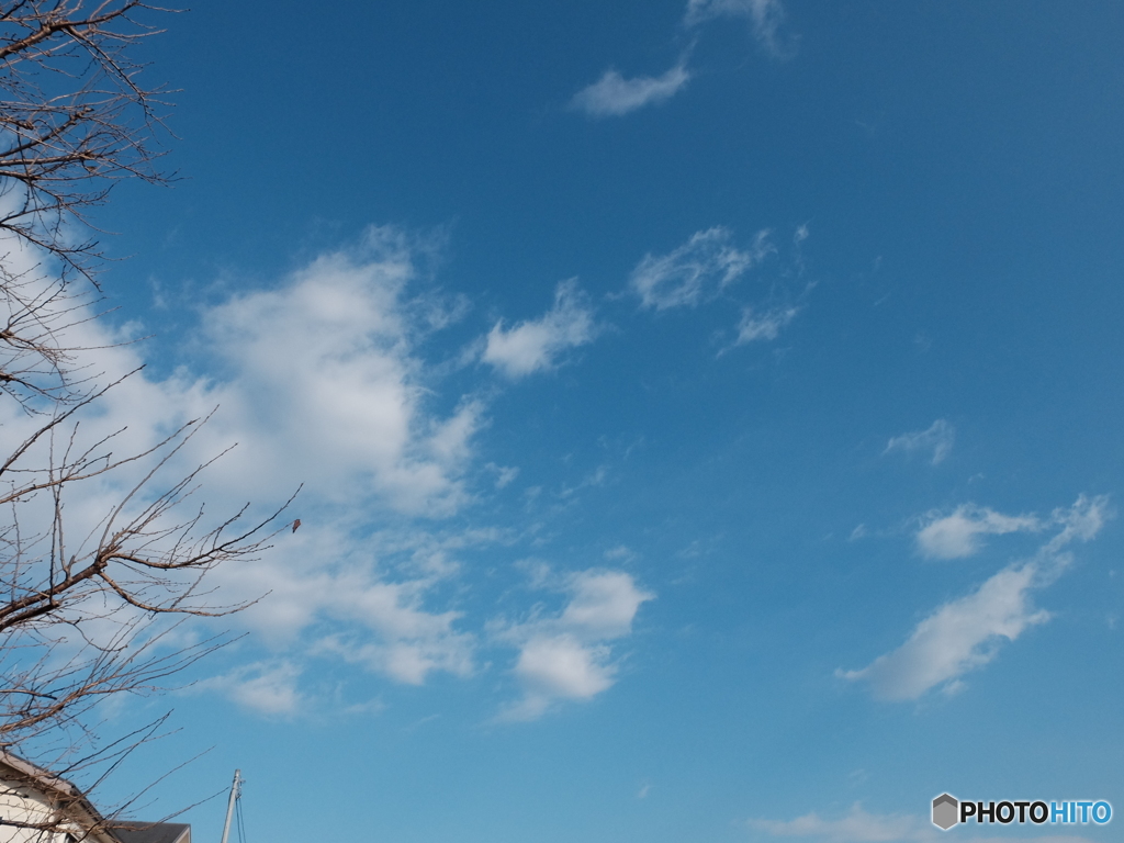 12/27　今日の青空3。