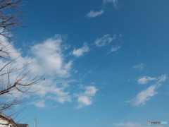 12/27　今日の青空3。