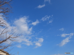 12/27　今日の青空2。