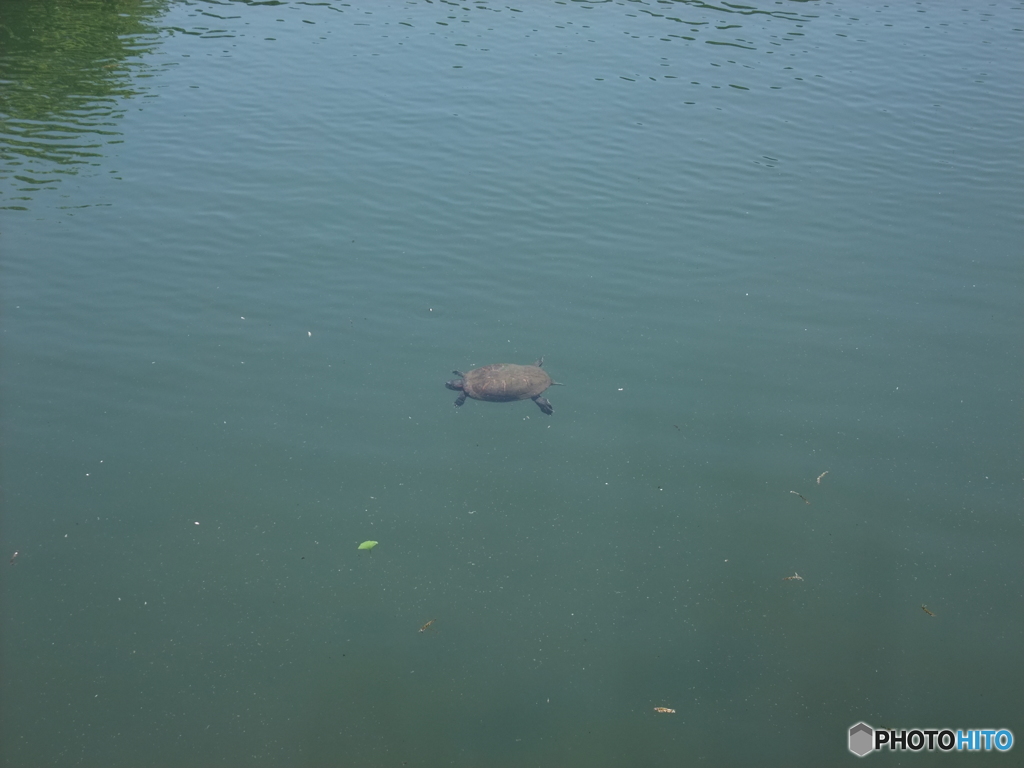 休日photo 21