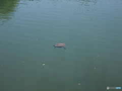 休日photo 21