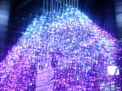 新宿ＩＬＬＵＭＩ　3